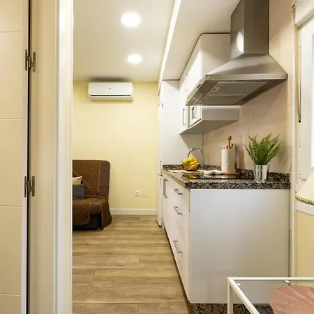 Apartment Malagasuite Bermeja 2 *